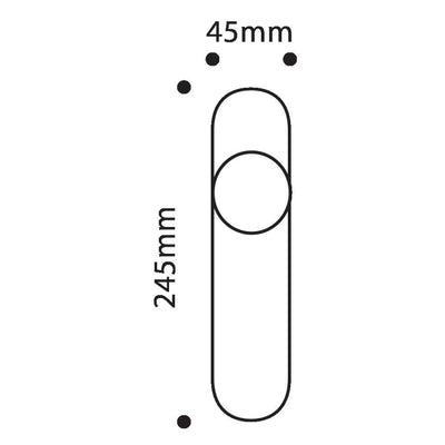 Placa con Pomo Fijo Inox 245X45mm Divalfer