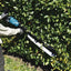 Cortasetos BL 40Vmax XGT 75cm Corte Simple UH014GM101 MAKITA