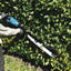 Cortasetos BL 40Vmax XGT 75cm Corte Simple UH014GZ MAKITA