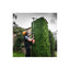 Cortasetos Extendido de 267CM Y Orientable M18 FUEL CON CUCHILLA DE 65CM M18FHETE27-0 4933492910 MILWAUKEE